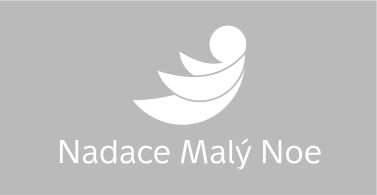 nadace-maly-noe.png